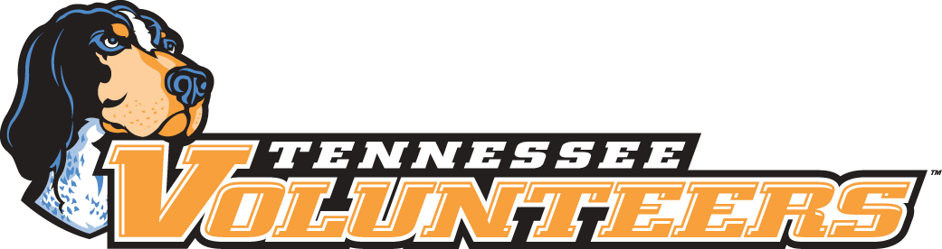 Tennessee Volunteers 2005-Pres Wordmark Logo v4 diy fabric transfers